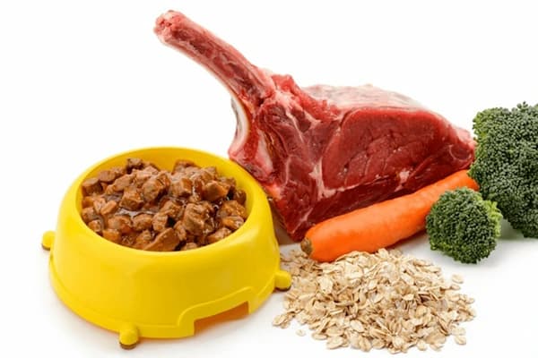 تصویر 5 از قیمت خرید غذای گربه خشک + فروش ویژه
